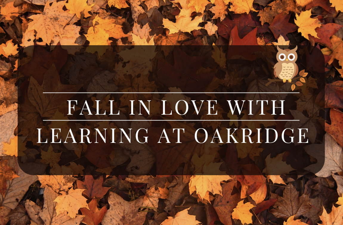 Fall in love with learning